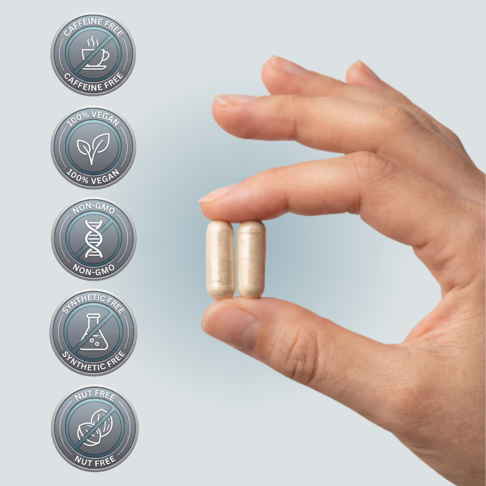 Learning Enhancement Supplement